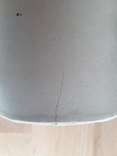 20201004_150528.jpg