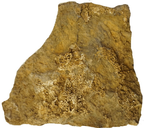 5924a.jpg